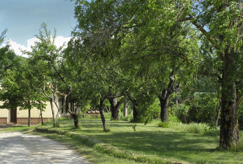 Agriturismo Il Casalone Montepulciano Exterior foto